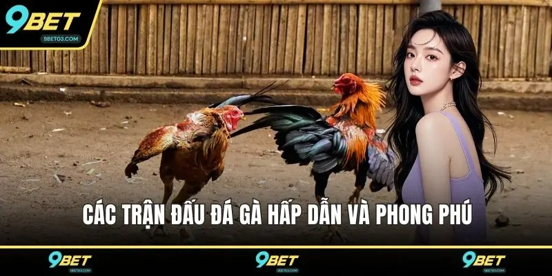 Các trận đấu đá gà hấp dẫn và phong phú