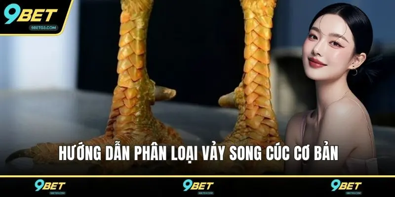 Hướng dẫn phân loại vảy song cúc cơ bản