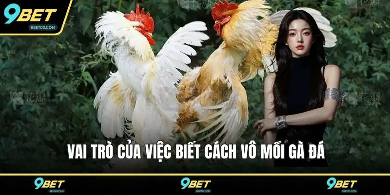 Vai trò của việc biết cách vô mồi gà đá